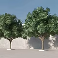 Two Green Trees Against Light Colored Wall Under Blue Sky On Gray Ground 3d model