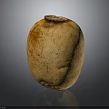 Fresh Organic Lotus Root With Natural Brown Spots And Smooth Surface Texture