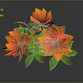 Vibrant Botanical Plant with Red and Orange Flowers and Lush Green Leaves on Dark Background