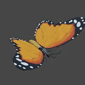 Flying Butterfly With Orange Wings Black Edges And White Spots On Brown Background