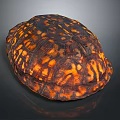 Detailed Reptile Turtle Shell Displaying Brown And Orange Patterned Textured Surface 3d model