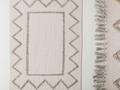 Stylish Square Rug With Geometric Zigzag Border Fringe And Diamond Design In Neutral Tones 3d model