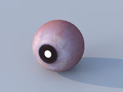 Detailed 3D Human Eye Model With Pink Sclera Black Pupil And White Reflection 3d model