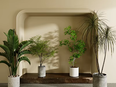Bonsai Potted Plants On Wooden Shelf In Arched Niche With Beige Wall And Leafy Varieties 3d model