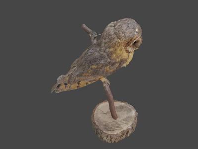 Game Movie Character Stuffed Owl Perched On Wooden Stump With Gray Background 3d model