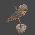 Game Movie Character Stuffed Owl Perched On Wooden Stump With Gray Background