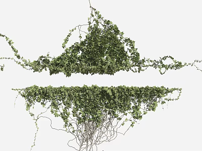 Vibrant Lush Green Vines Growing Naturally With Trailing Branches And Leaves 3d model
