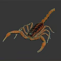 Detailed Vibrant Orange and Red Scorpion on Gray Background with Reflection