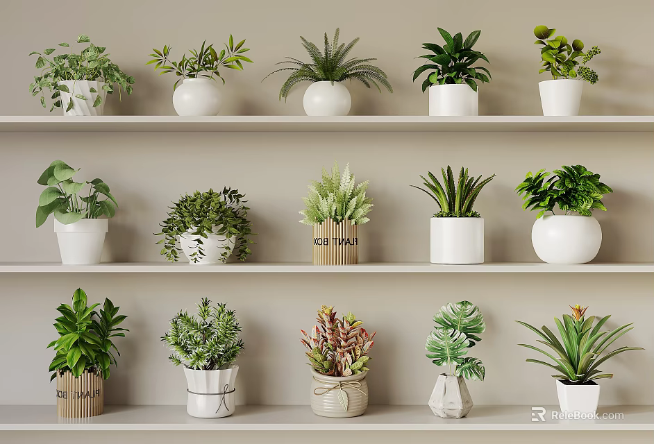 Bonsai Potted Plants Display On Shelves With Various Green Foliage And Different Planters 3d model 