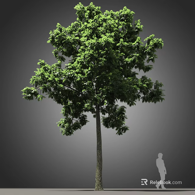 Tall Arbor With Lush Green Foliage And Human Silhouette For Scale 3d model 