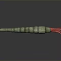Green striped squid with long body and red tentacles on dark background