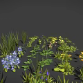Colorful Green Blue Yellow Purple Grass And Flowers Plant Collection
