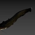 Whole Fresh Catfish with Natural Appearance and Fresh Texture for Seafood Recipes