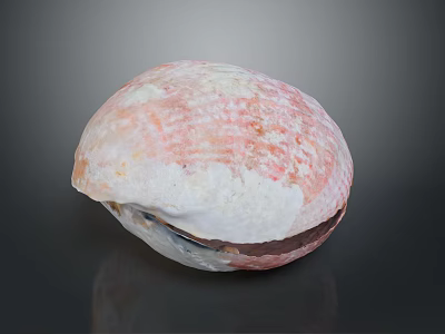 Organ And Hair Texture With Pink White Surface On Dark Background 3d model