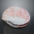 Organ And Hair Texture With Pink White Surface On Dark Background