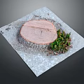 Rustic Wooden Stump Featured on Stone Surface with Small Green Plants