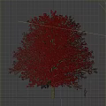 Tall Lush Arbor With Red And White Foliage In Natural Growth