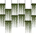 Lush Green Hanging Vines Arranged In Multiple Rows As Decorative Plants 3d model
