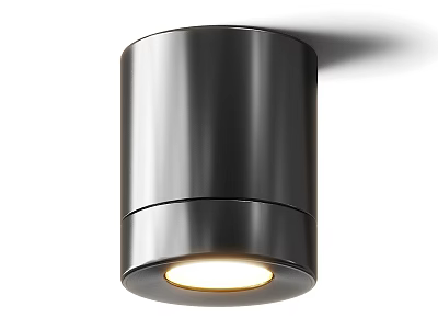 Modern Ceiling Downlight Spotlight With Sleek Metal Design And LED Lighting Fixture 3d model