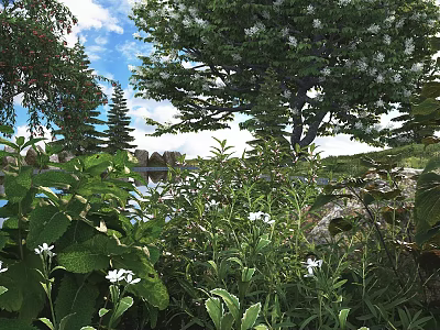 Lush Green Shrubs With White Flowers Surrounded By Trees Near Lake Under Blue Sky 3d model