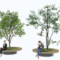 Circular Tree Pit With Green Leafy Trees And Seating For Relaxing People 3d model