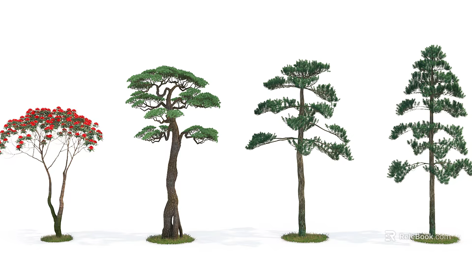 Various Types of Arbor Trees Featuring Distinct Trunk Shapes And Lush Foliage 3d model 