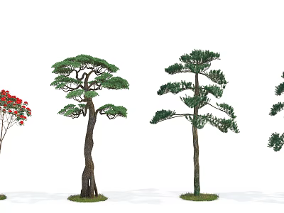 Various Types of Arbor Trees Featuring Distinct Trunk Shapes And Lush Foliage 3d model
