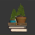Small Potted Plants Displayed On Wooden Tray With Glass Jar And Red Books