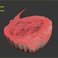 Ancient Trilobite Fossil With Preserved Organ Structure And Hair Like Details On Stone Base