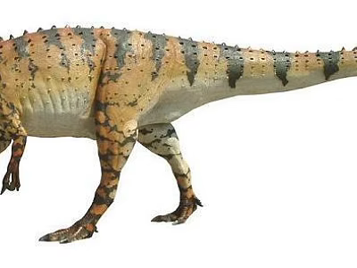 Large Terrestrial Reptile With Orange And Black Stripes And Scaly Body 3d model