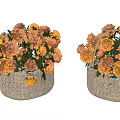 Beautiful Orange And Yellow Flowers In Wicker Baskets With Green Leaves