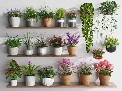 Variety of Colorful Potted Plants on Multi Layered Shelves with Hanging Greenery and Decorative Pots 3d model