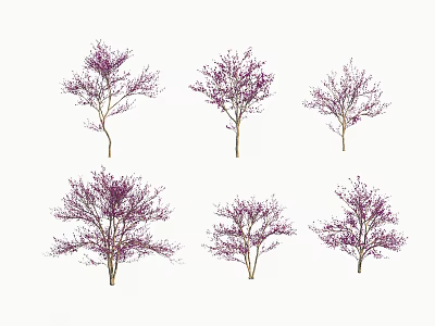 Stunning Purple Flowering Arbor Trees with Delicate Branches for Garden Landscaping 3d model
