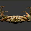 Realistic Golden Brown Crab With Raised Claws Shiny Exoskeleton On Dark Background