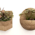 Woven Basket Shaped Decorative Wall Hanging With Dried Flowers And Green Plants