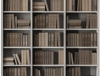 Books And Magazines Arranged On Wooden Shelves With Various Sizes And Stacked Design 3d model