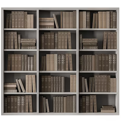 Books And Magazines Arranged On Wooden Shelves With Various Sizes And Stacked Design 3d model
