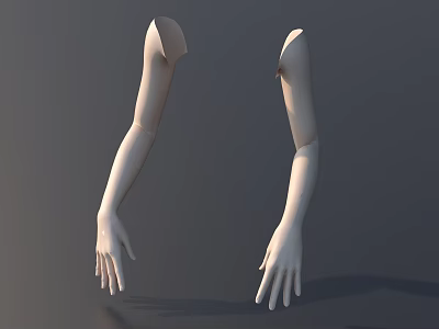 White Mannequin Arms With Detailed Hands For Fashion Apparel 3d model