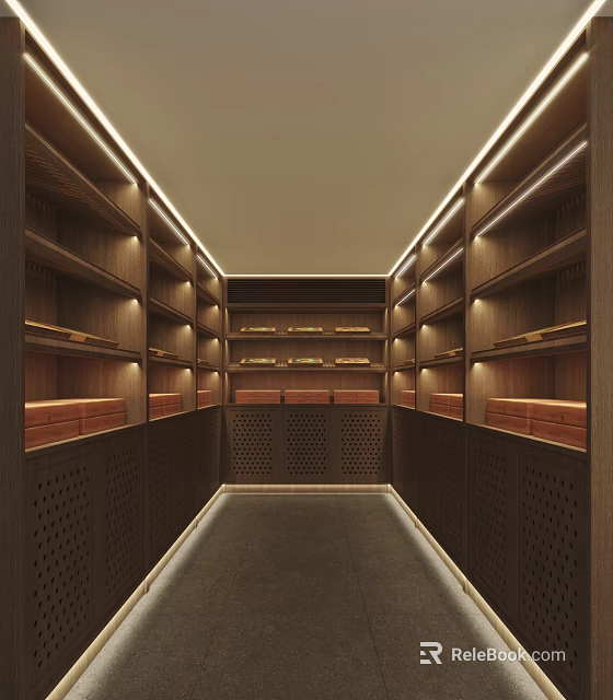 Modern Lounge Room Interior With Wooden Shelves And Warm Lights 3d model 