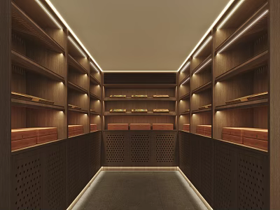 Modern Lounge Room Interior With Wooden Shelves And Warm Lights 3d model