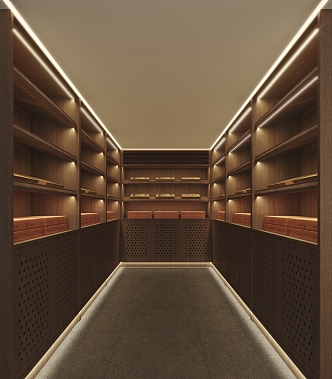 Modern Cigar Room 3d model