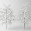 Two White Arbor Trees With Snow Covered Branches And Light Background 3d model