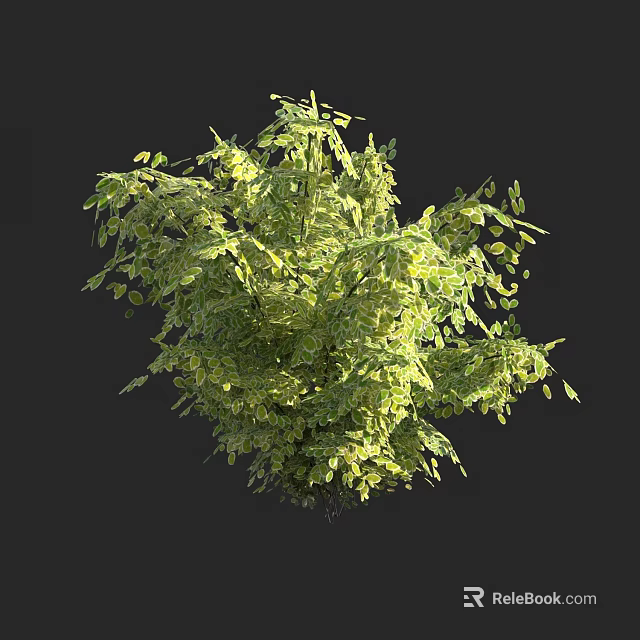 Lush Green Shrub With Dense Bushy Foliage And Vibrant Leaf Growth 3d model 