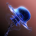 Blue Transparent Jellyfish With Bioluminescent Glow And Tentacles On Dark Background