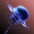 Jellyfish 3d model