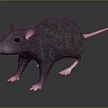 Realistic 3D Gray Rat Model With Pink Paws And Tail On Dark Background 3d model