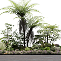 Modern shrub plant landscape cluster 3d model