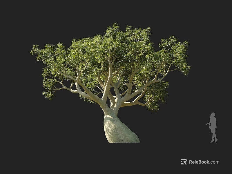 Large Arbor With Thick Trunk And Lush Green Leaves Beside Human Figure For Scale 3d model 