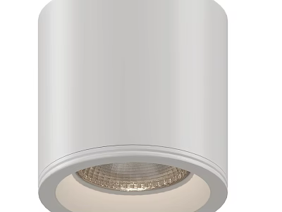 Modern White Downlight Spotlight With LED Ceiling Mounted Lighting For Home Decor 3d model