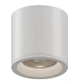 Modern White Downlight Spotlight With LED Ceiling Mounted Lighting For Home Decor 3d model
